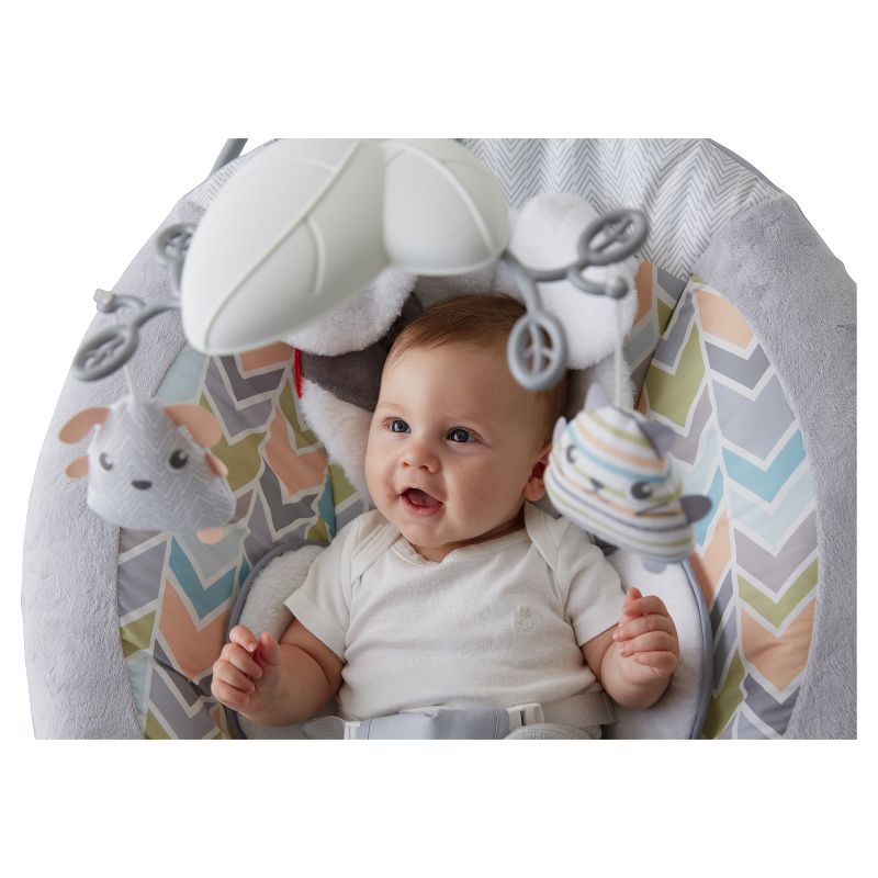 ​Fisher-Price Baby Bouncer