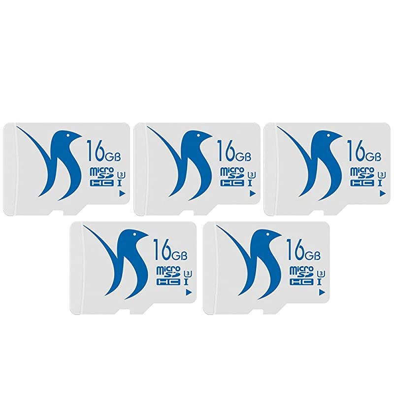 Micro SD Card 16GB Class 10 Memory Card U3 for Voice Recorder and MP3 Player with Adapter (16GB U3)