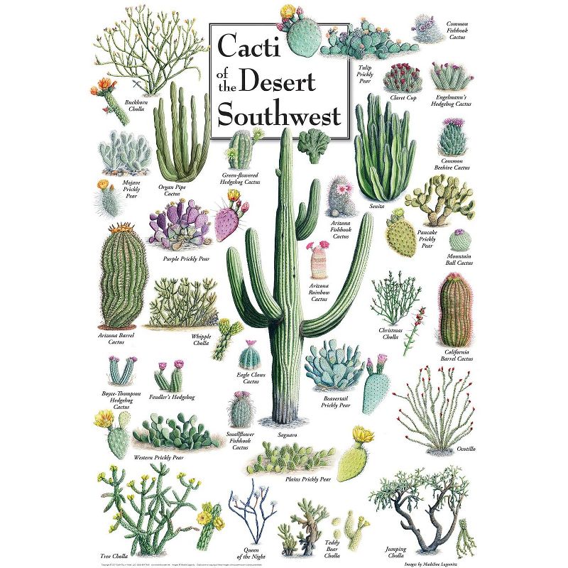 MasterPieces Inc Cacti of the Desert Southwest 1000 Piece Linen Jigsaw Puzzle