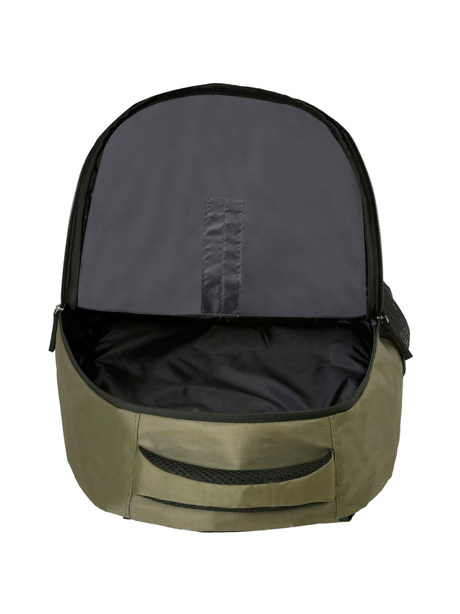 Aeropostale Leighton Olive Green Polyester Printed Backpack - 18 Ltrs