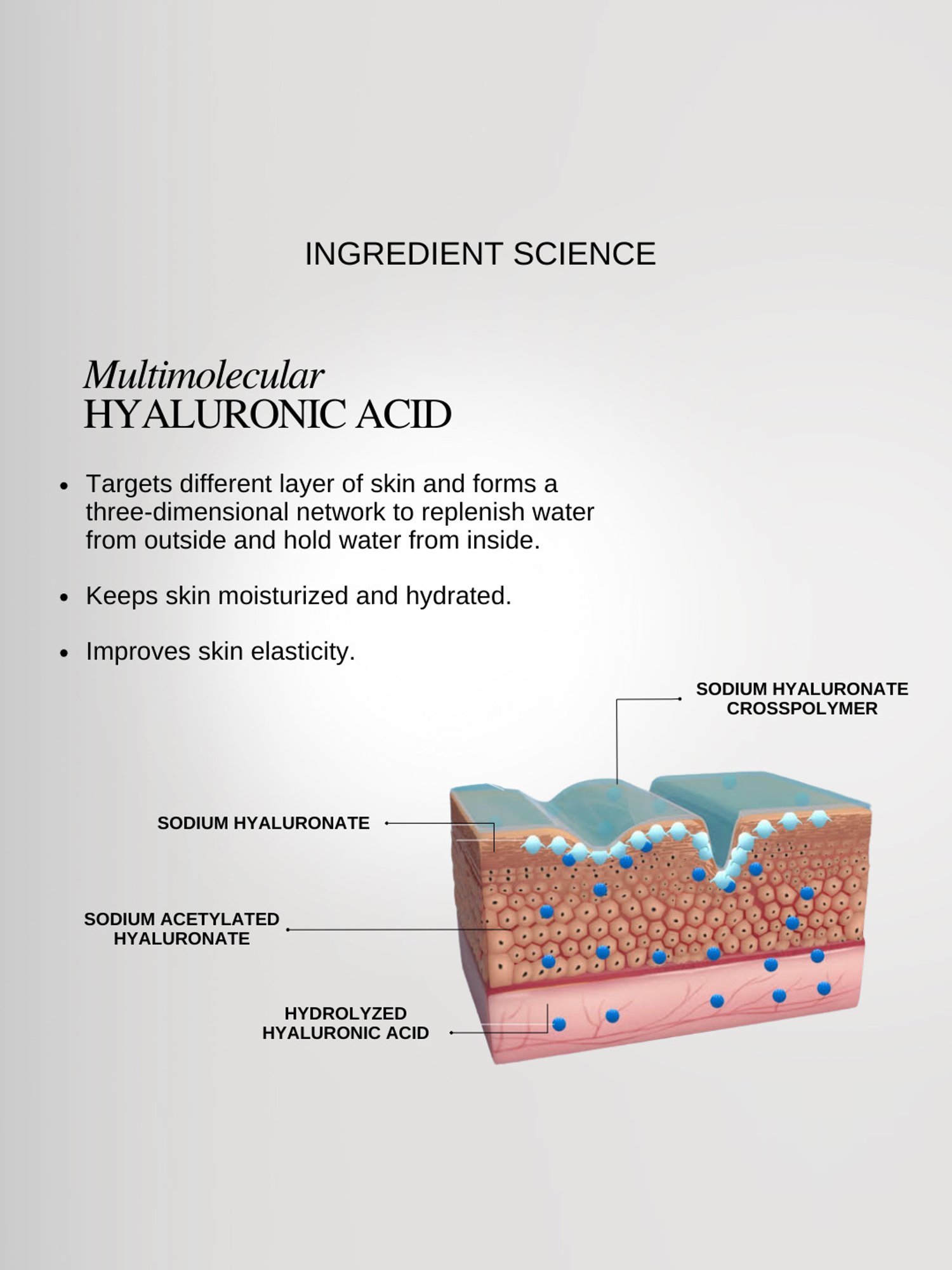 The Formularx Malazia Hydra Veil Gel Moisturizer - 50 gm