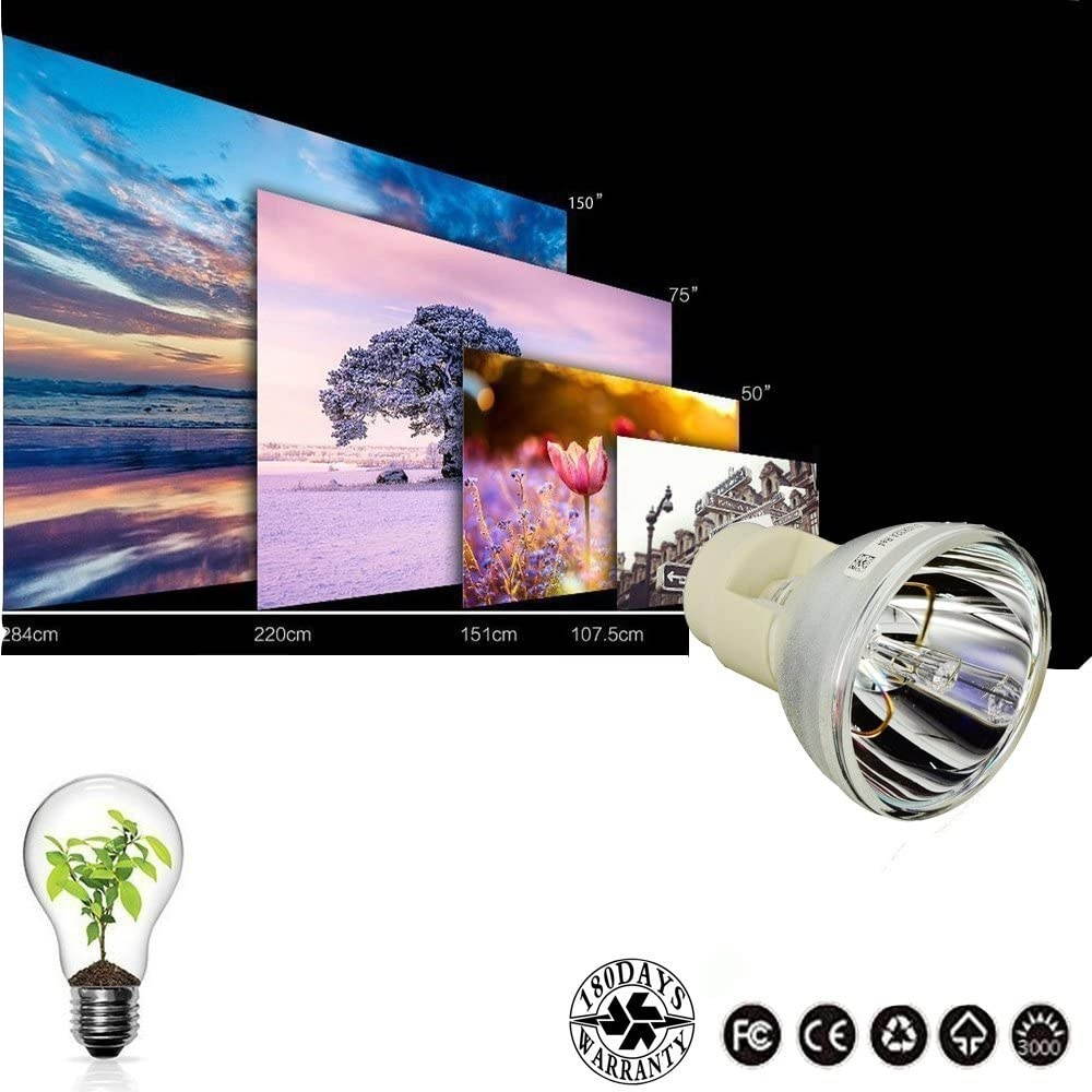 AWO Original Projector Lamp Bulb BL-FP230D / SP.8EG01GC01 / 5J.J4G05.001 / 5J.Y1C05.001 / 5J.J0705.001 for OPTOMA DH1010 EH1020,EW615,GT750,HD20-LV,HD200X-LV,HD2200 for BenQ W1100,W1200+,MP735,W600+