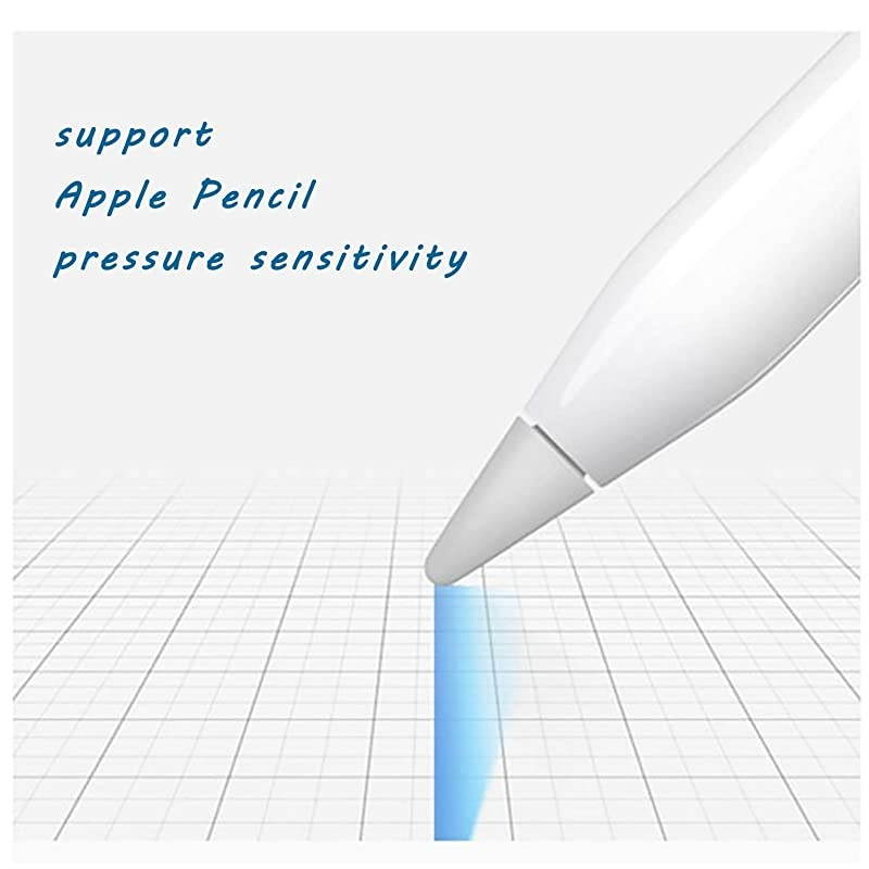 Tips Compatible with Apple Pencil 2 Gen iPad Pro Pencil Apple Pencil iPencil Nib for iPad Apple Pencil 1 stPencil 2 Gen White 2 Pack