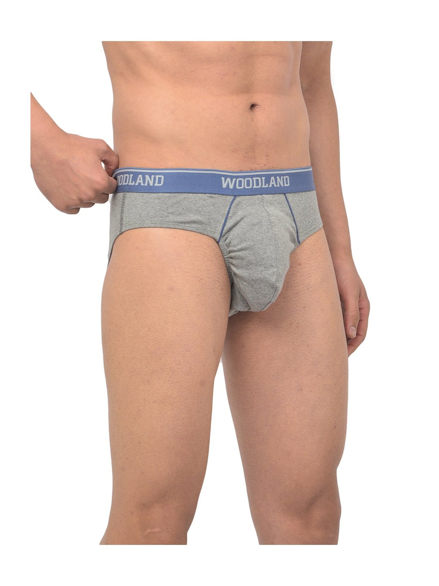 Woodland Light Grey Solid Briefs