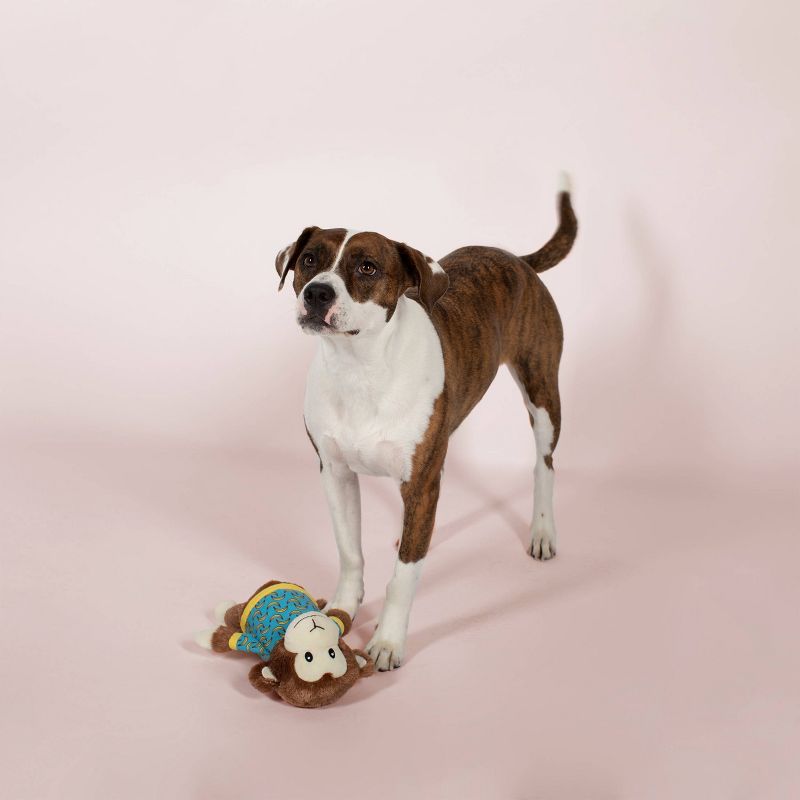 PetShop by Fringe Studio Bananas the Monkey Dog Toy