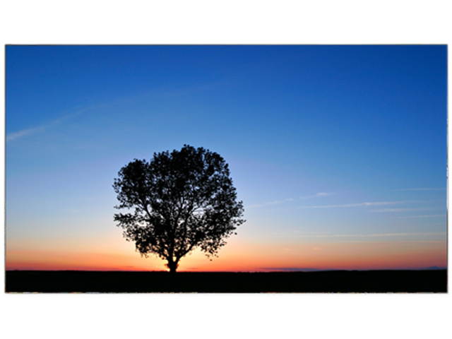 Video Wall Controller & Player 2x2 4K 3840x2160@30Hz Processor HDMI 1.4 HDCP 1.4 Support 2x2,1x2,1x4 Modes with 1 HDMI Input 4 HDMI Output