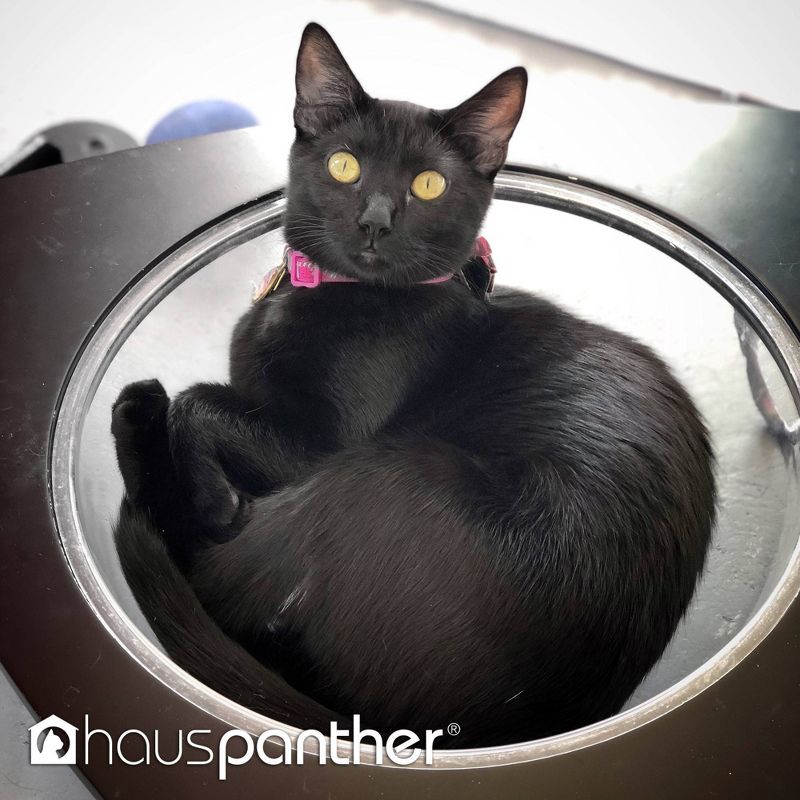 Hauspanther Tripod Cat Lounge Bed - Black