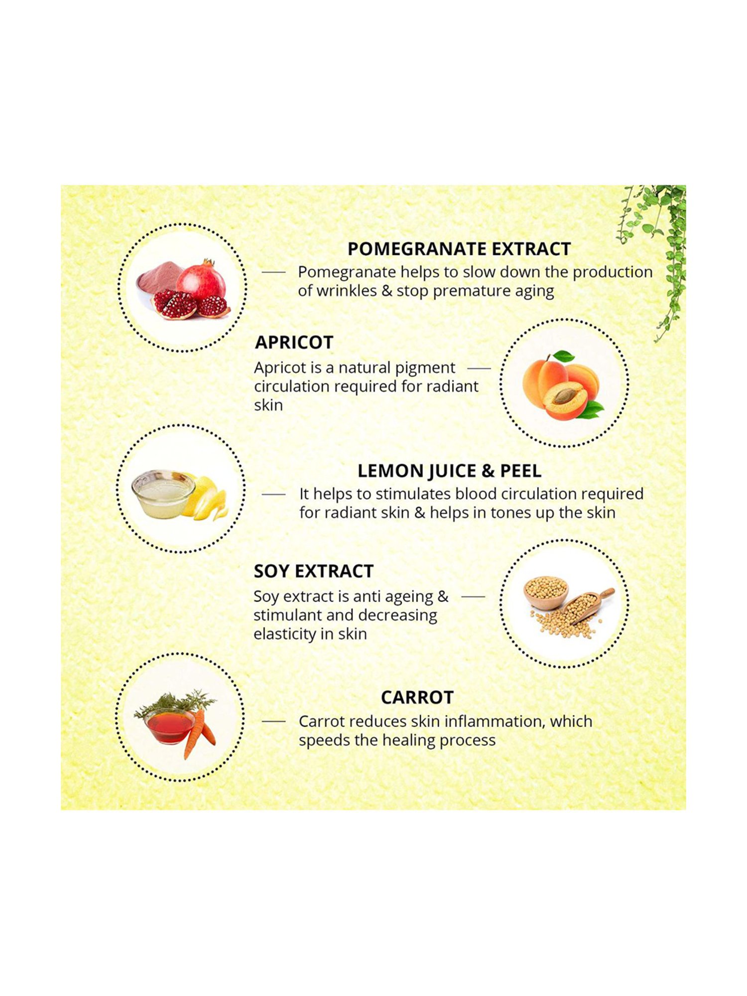 Aryanveda APS Facial Kit (Tanend)