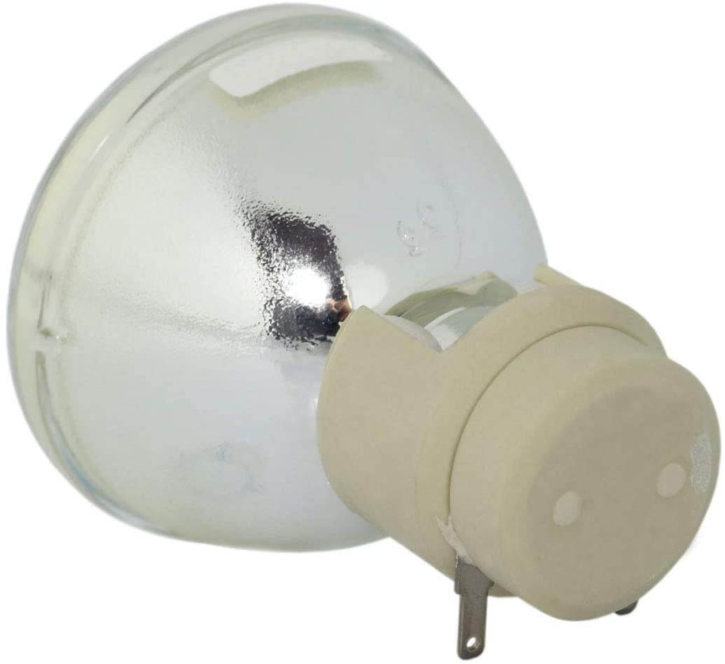 OMAIC Projector Lamp Bulb for Epson ELPLP67/ V13H010L67 Home Cinema PowerLite 500 707 710HD 750HD, W12 S12 EX5210 EX7210 EX3210 EX3212 VS210 VS220 X12 Replacement Projector Lamp/Bulb