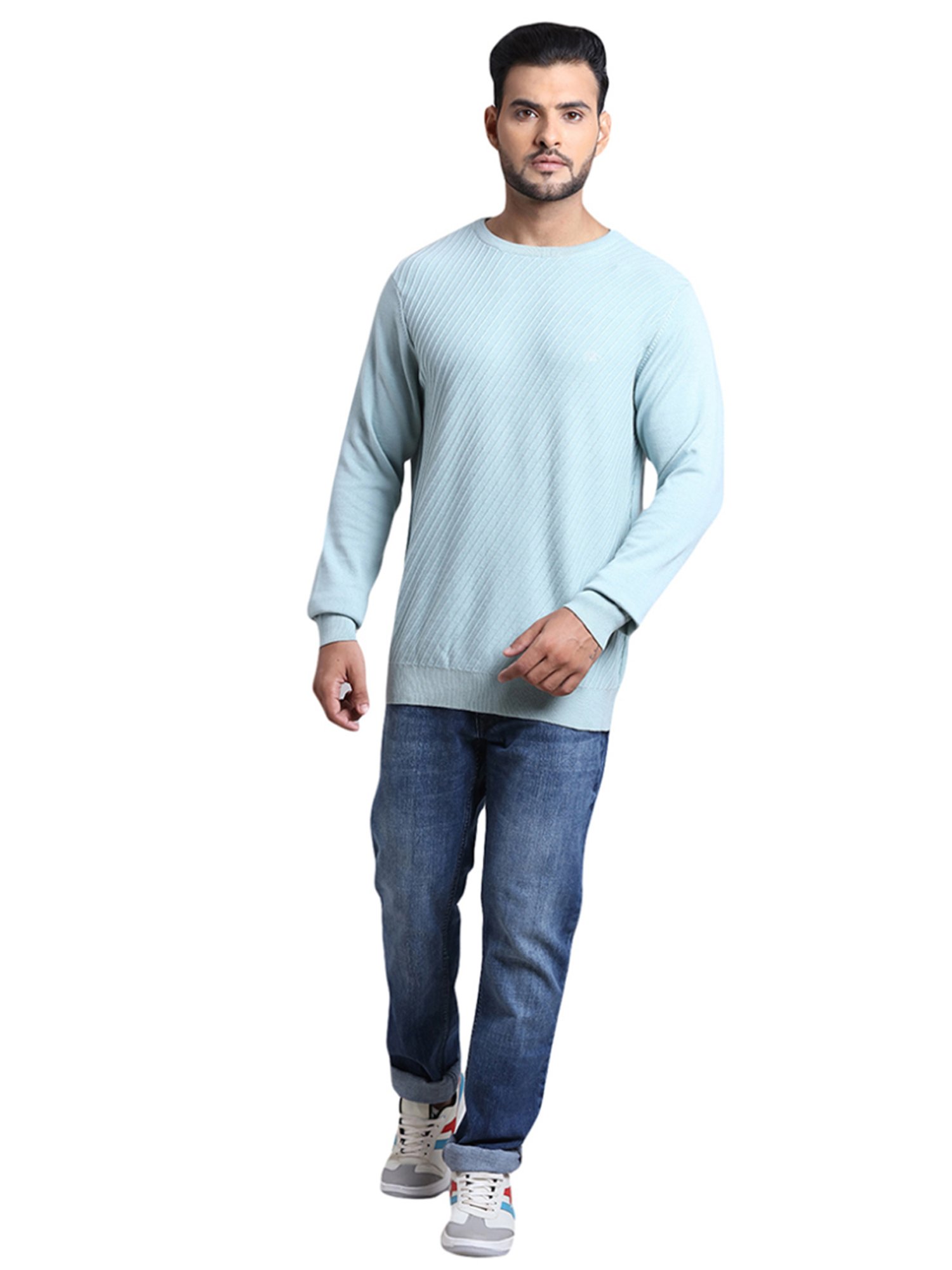 ColorPlus Blue Cotton Tailored Fit Self Pattern Sweater