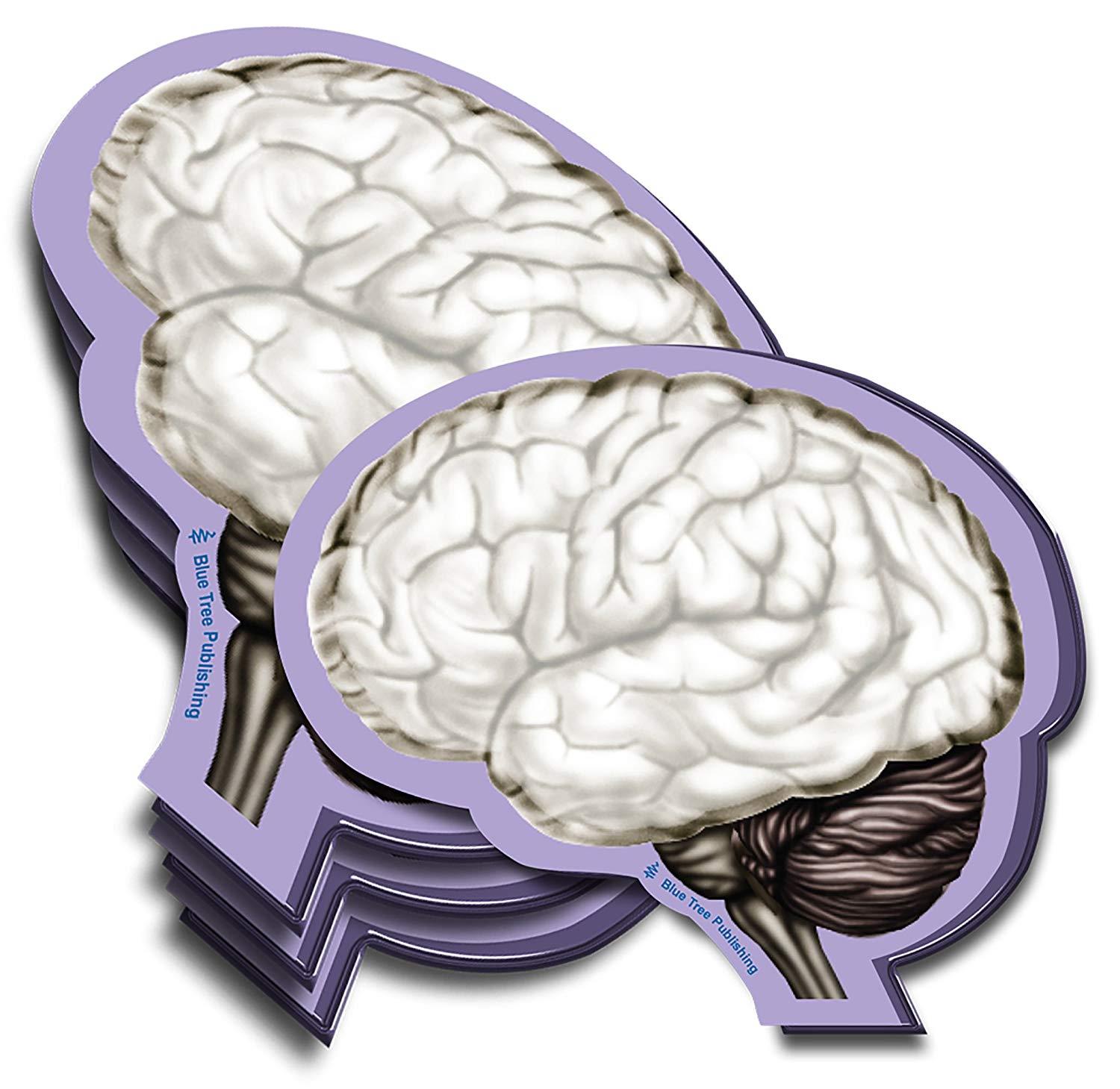 Brain Sticky Notes, 4 Packs-100 Sheets Per Pack