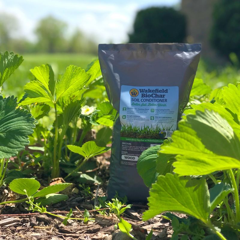 Northlight 28" Pre-Lit Burlap Squirrel with Santa Hat Christmas Outdoor Decoration