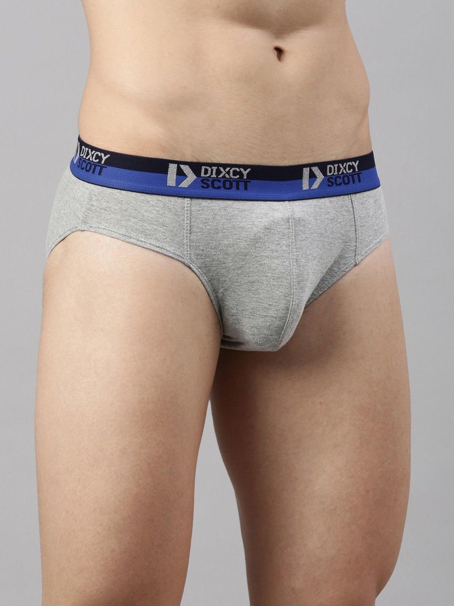 Dixcy Scott Originals Grey Melange Cotton Regular Fit Briefs - Pack Of 2