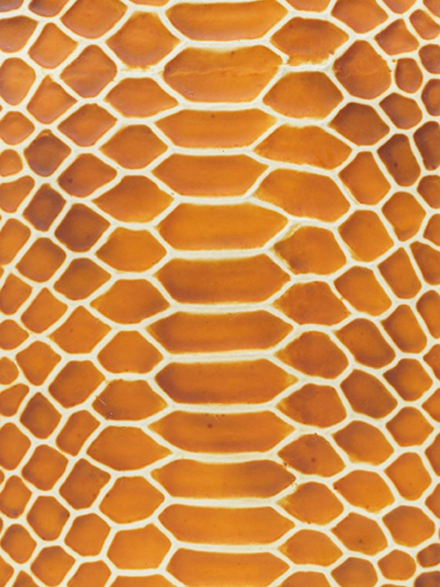 RI2K London Multicolor Leather Medium Animal Effect Handbag