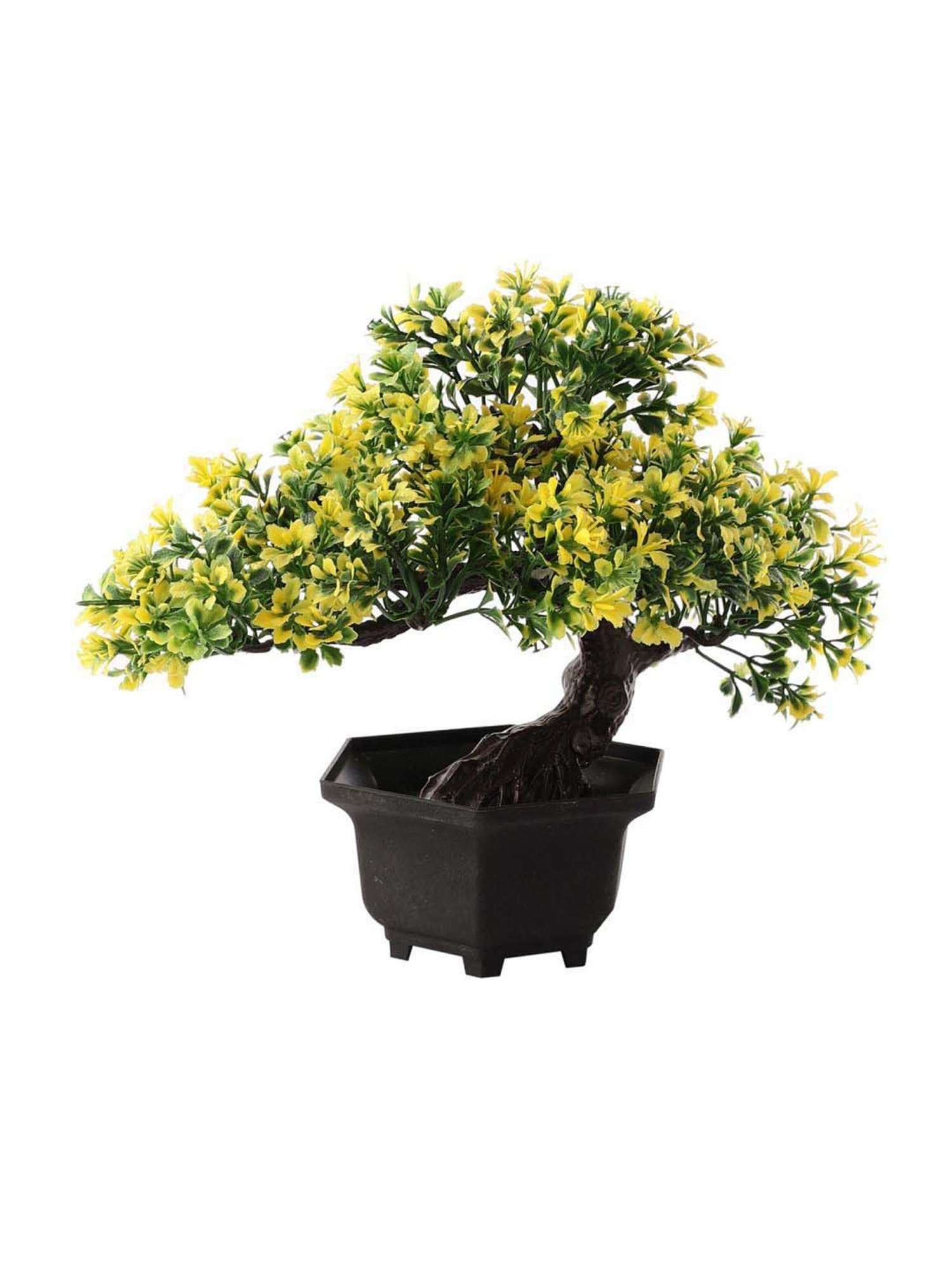 Foliyaj Multicolor Plastic Artificial Bent Bonsai Tree With Pot