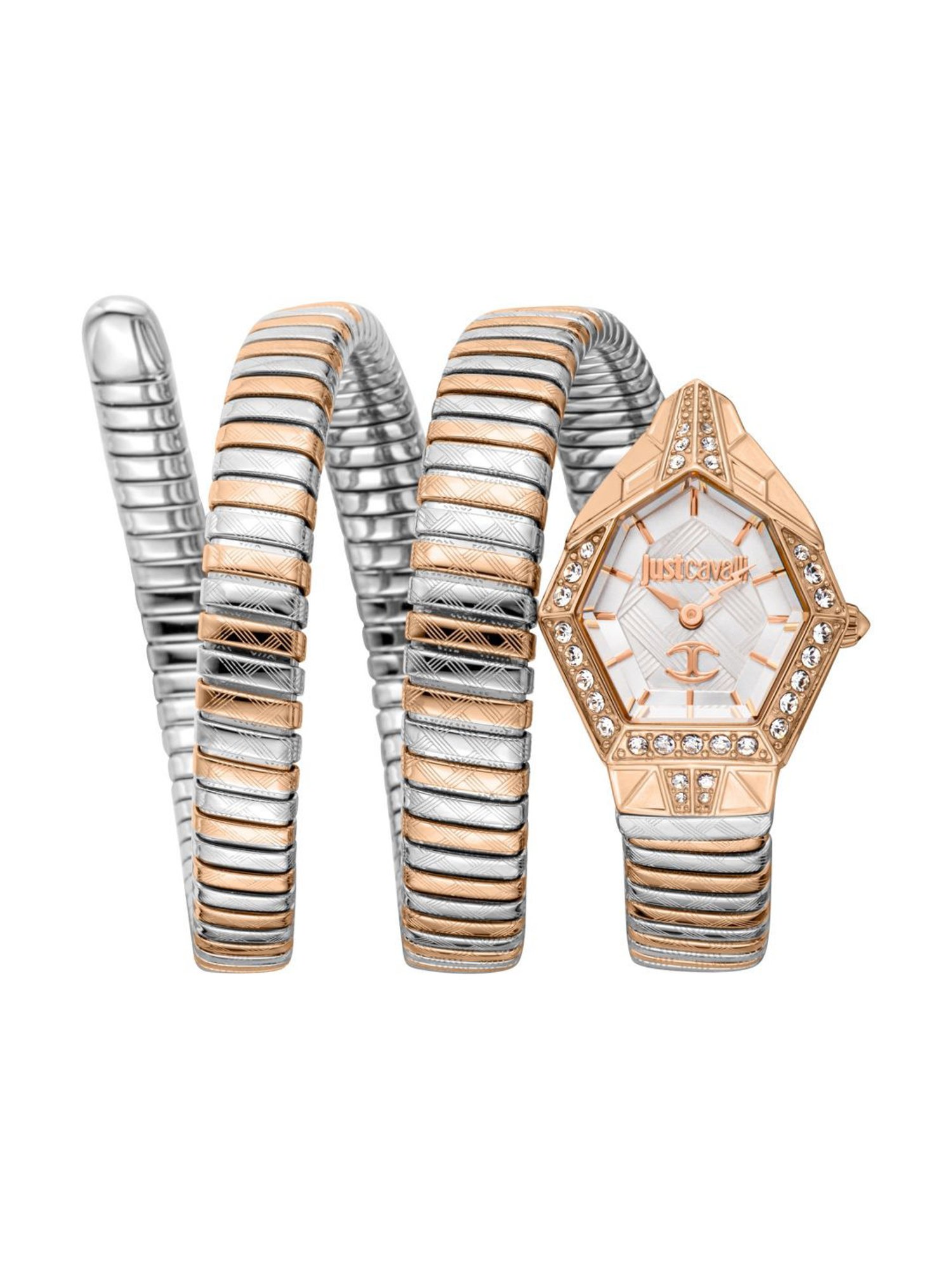 Just Cavalli JC1L304M0075 Mesmerizing Analog Watch for Women
