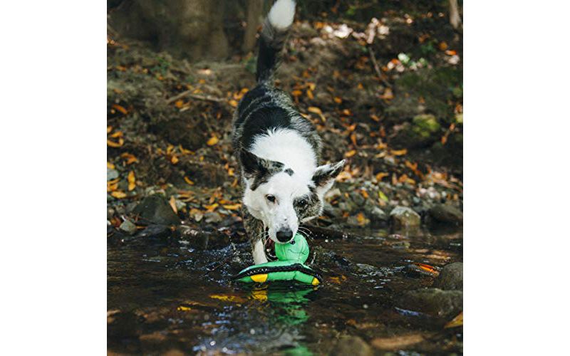 ZippyPaws - Floaterz, Outdoor Floating Squeaker Dog Toy - Walrus, Purple