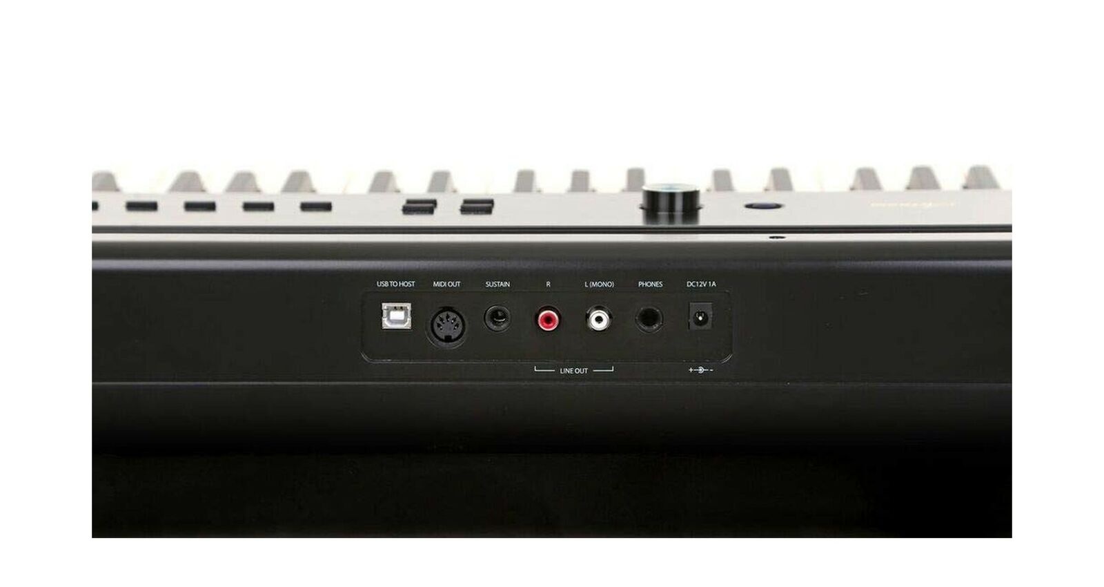 Artesia PA-88H 88-Key Weighted Hammer Action Digital Piano with Sustain Pedal...