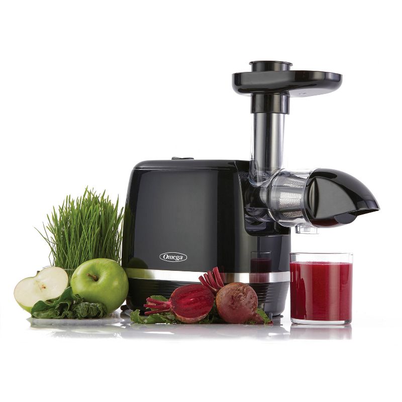 Omega Cold Press 365 Horizontal Slow Juicer - Black