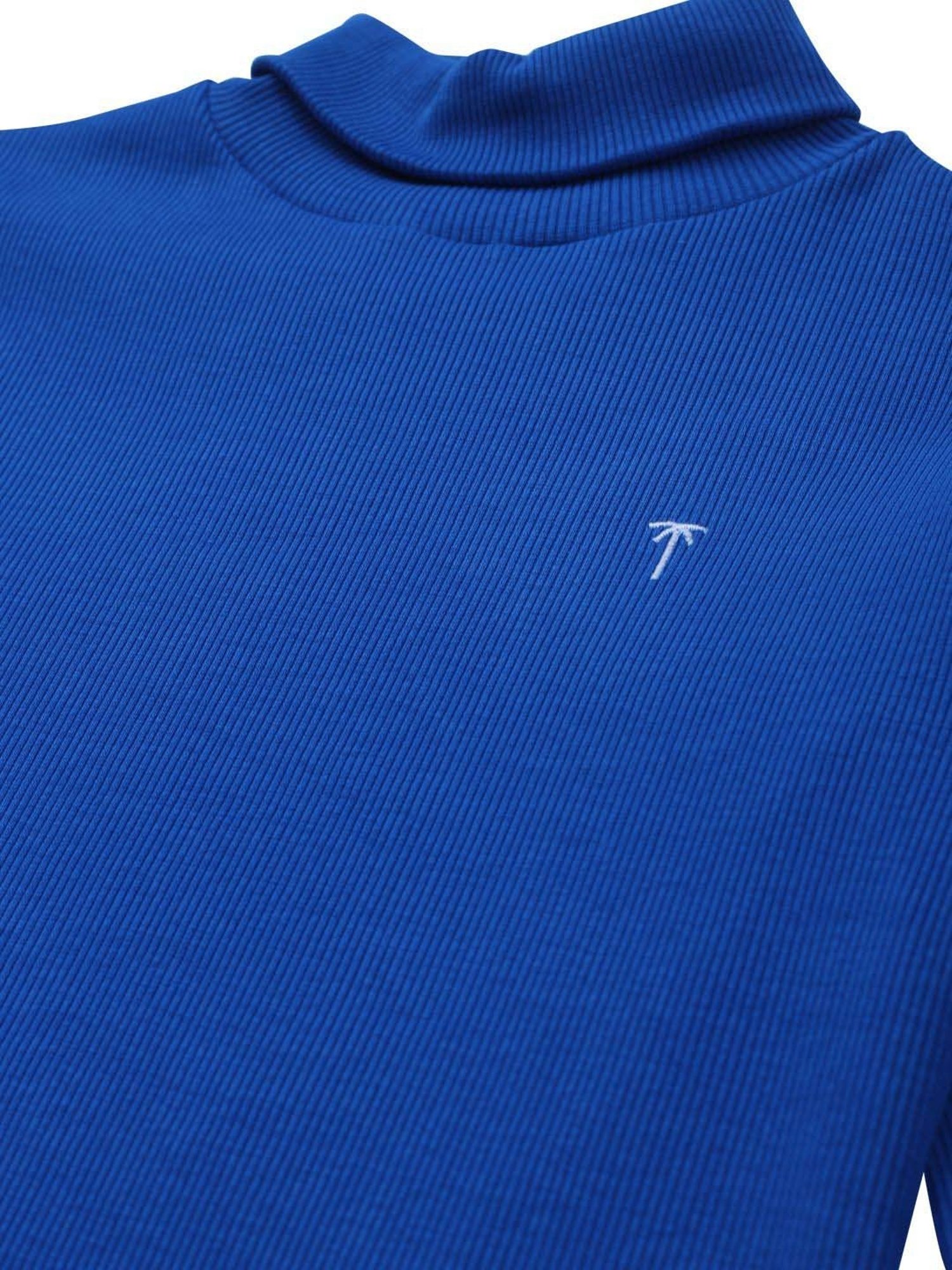 Palm Tree Kids Blue Cotton Regular Fit Full Sleeves Skivvy