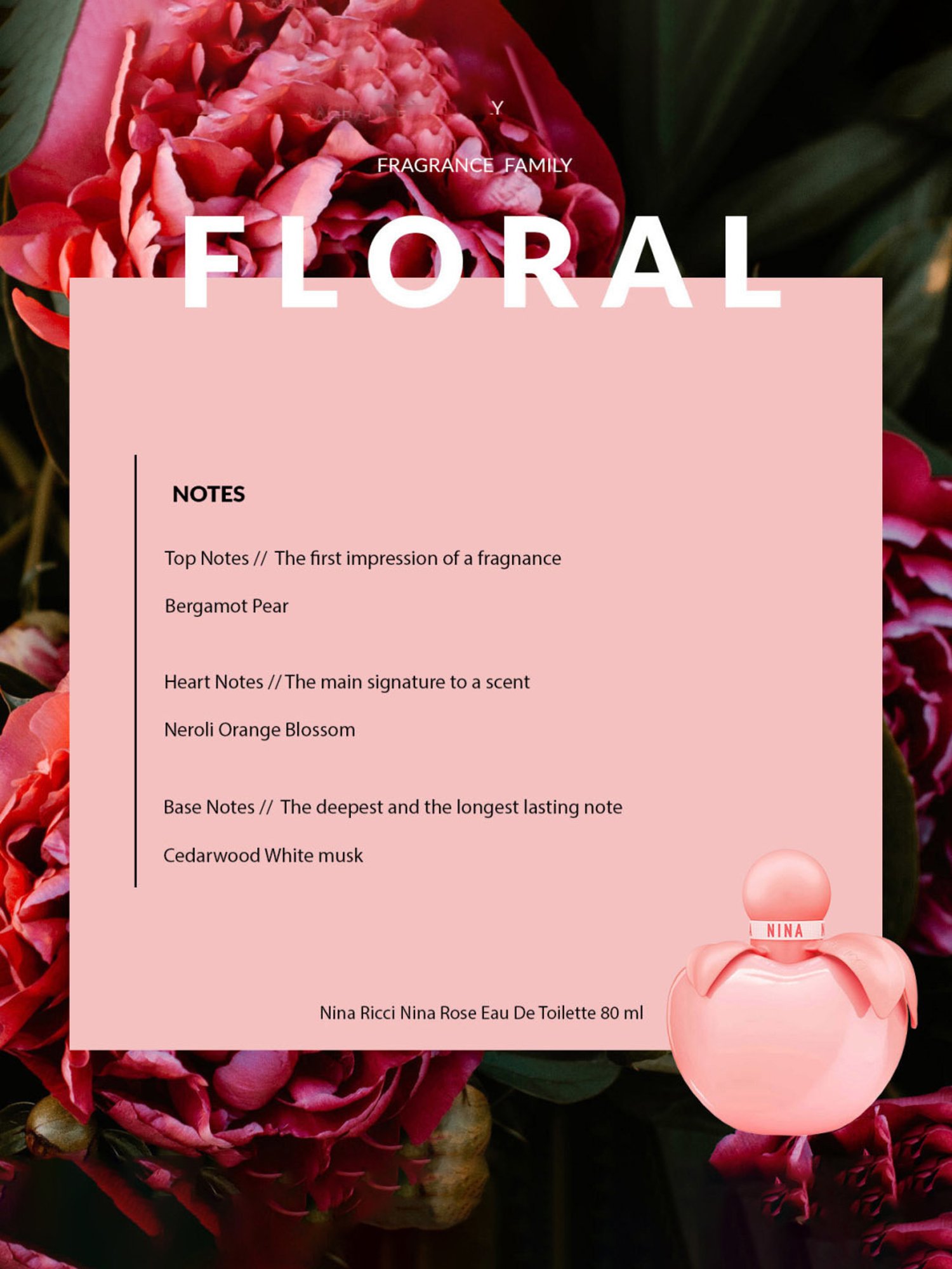 Nina Ricci Nina Rose Eau De Toilette 80 ml