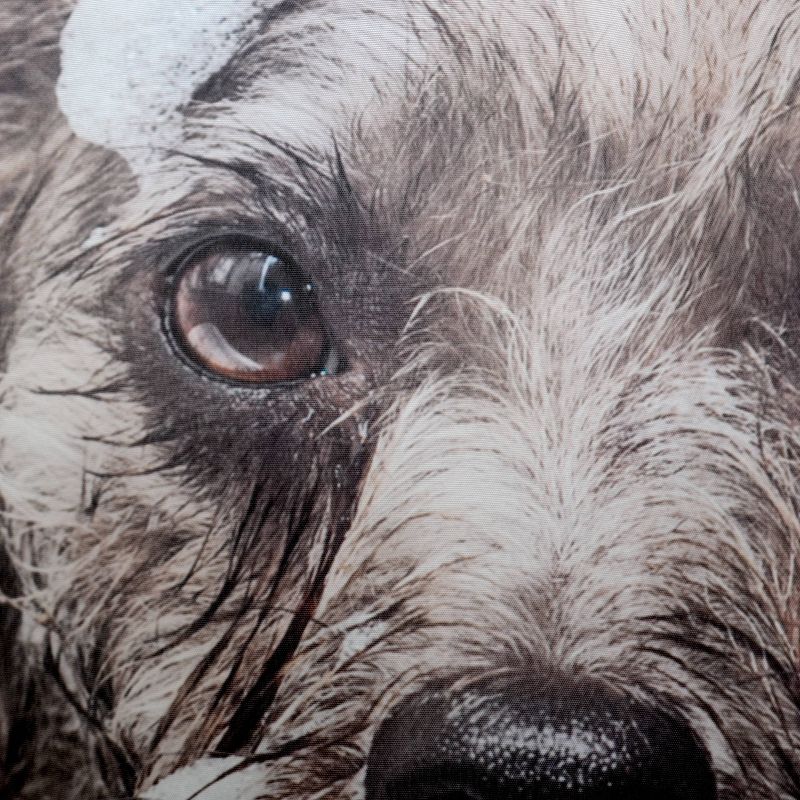 Dog Bath Shower Curtain White - Moda at Home