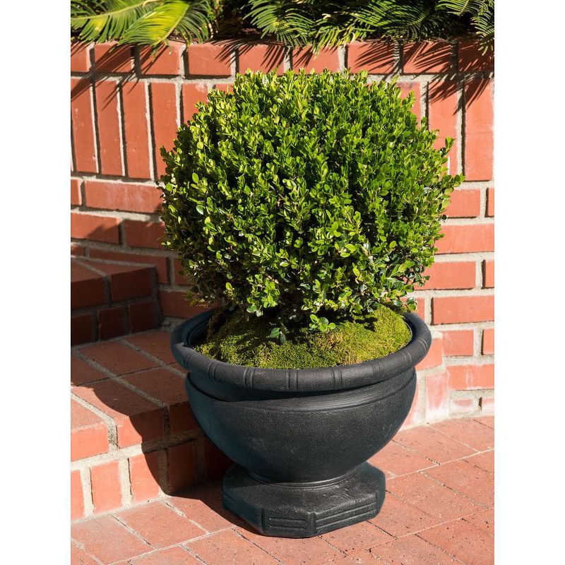 Samara Self-Watering Urn Planter, 18" - Gardener's Supply Company