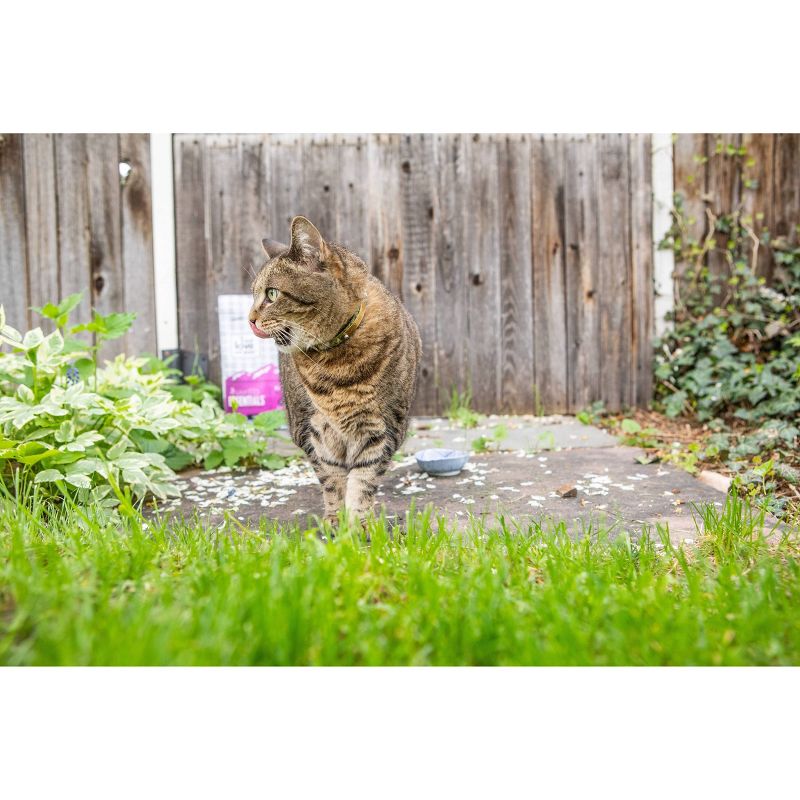 I and Love and You Naked Essentials Salmon and Trout Dry Cat Food - 11lbs