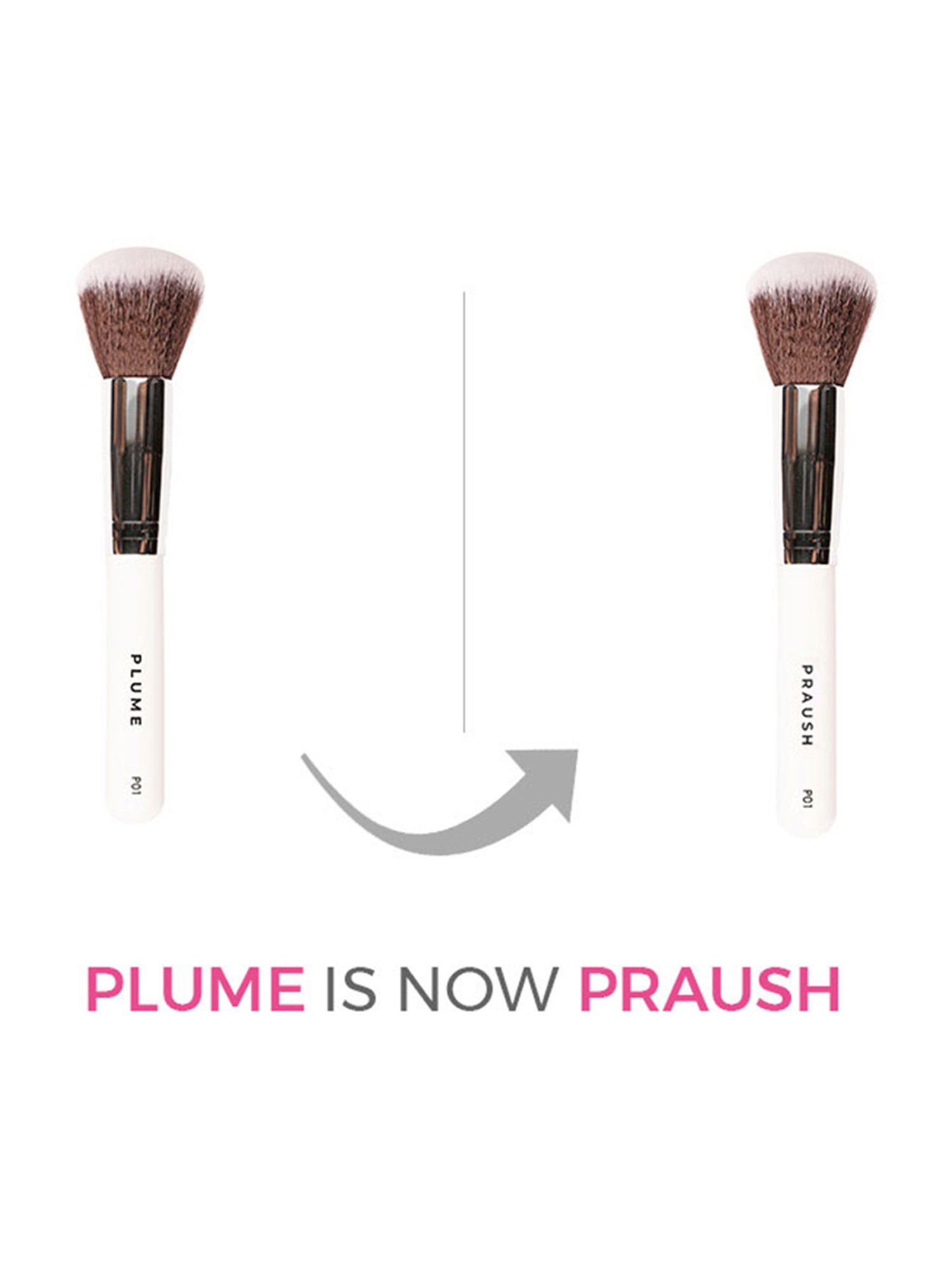 Praush Professional Powder Brush Big - P01
