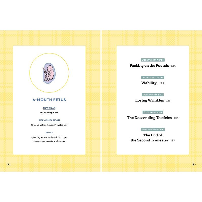 We're Pregnant! the First Time Dad's Pregnancy Handbook - by Adrian Kulp (Paperback)