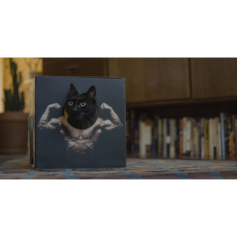 Catbods Box Practical Joke Novelty Toys