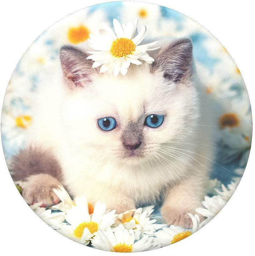 PopSockets PopTop (Top only. Base Sold Separately.): Swappable Top for PopGrip Bases, PopGrip Slide, Otter+Pop & PopWallet+ - Purr-FECT Flower