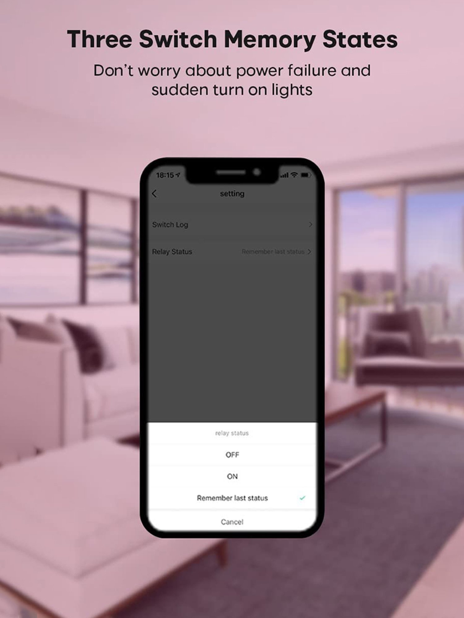 HomeMate 16A WiFi 1 Node Smart Switch, Compatible with Alexa & Google Home (White)