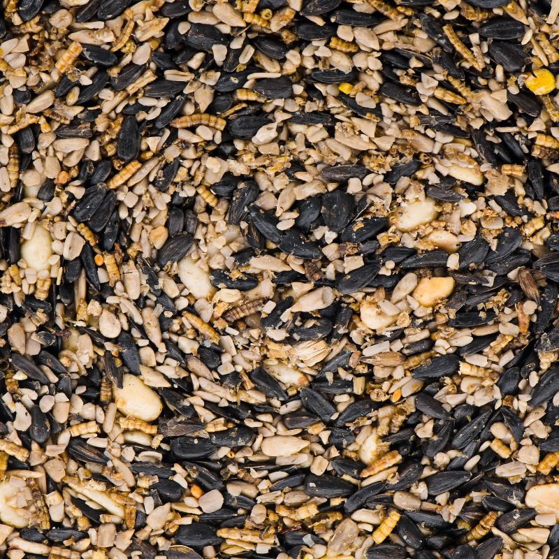 KAYTEE Ultimate Gourmet Cake Bird and Wildlife Food - 1.65lb