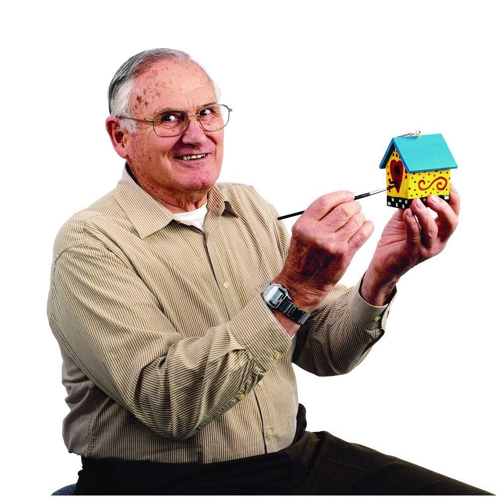 Colorations BRDHSE Wooden Birdhouses (Pack of 6)