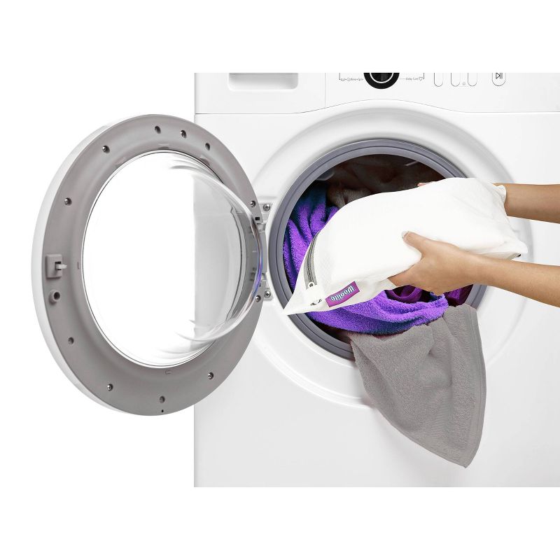 Woolite Large Mesh Wash Bag