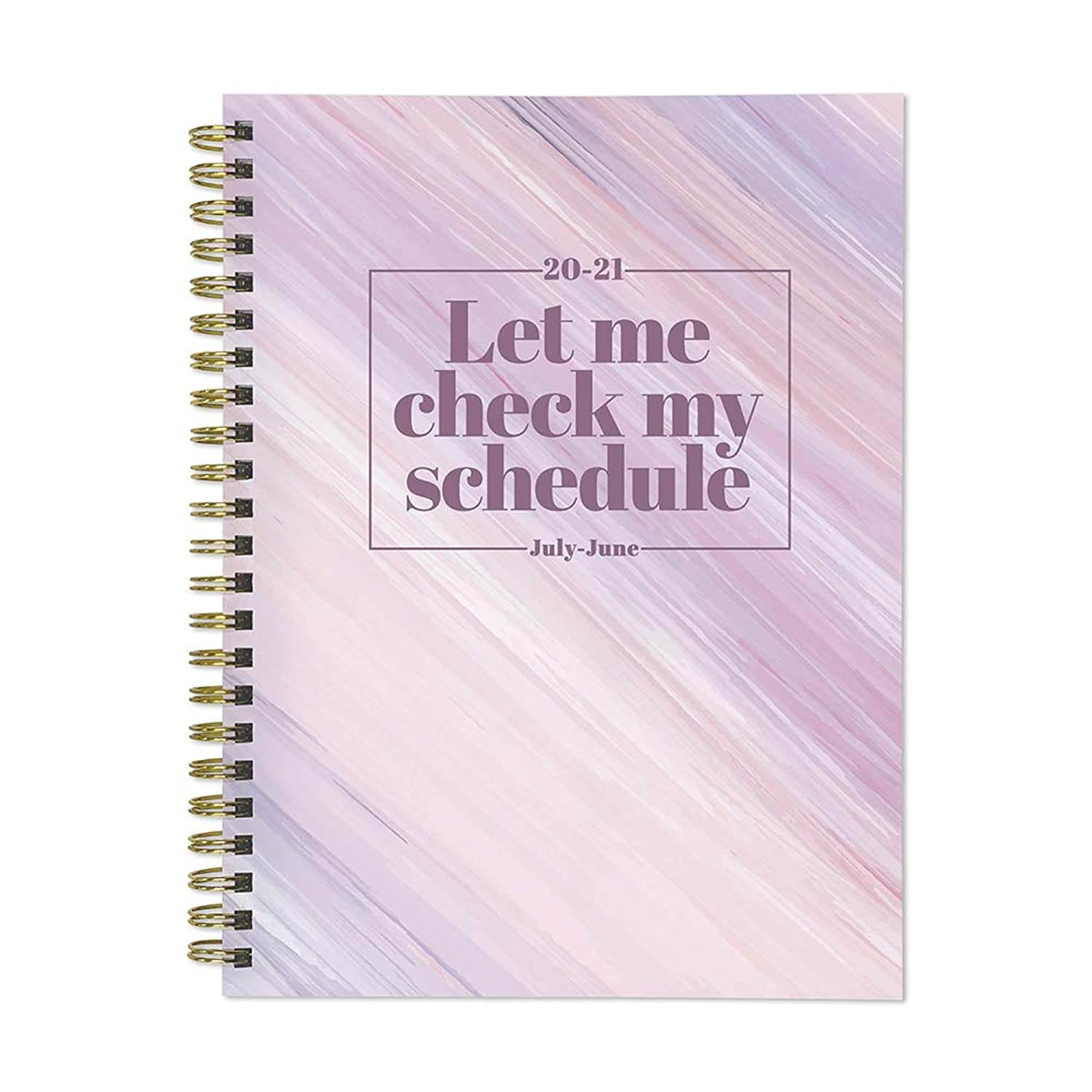 Check My Schedule Medium 6 x 8 Daily Weekly Monthly Planner + Coordinating Planning Stickers (July 2020 - June 2021)