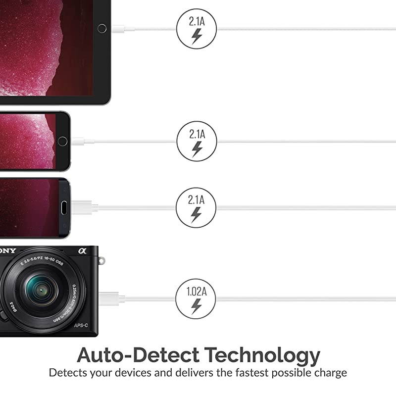 Premium 60 Watt 12 Amp 6Port Aluminum FamilySized Desktop USB Rapid Charger Smart USB Charger with Auto Detect Technology Silver AXFLCH