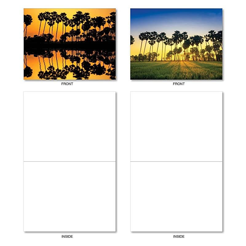 Note Cards wEnvelopes Assorted Palm Beaches Blank Greeting Cards Perfect AllOccasion Cards for Birthday Wedding Thank You Stationery Notecards 4 x 512 inch M6457OCB