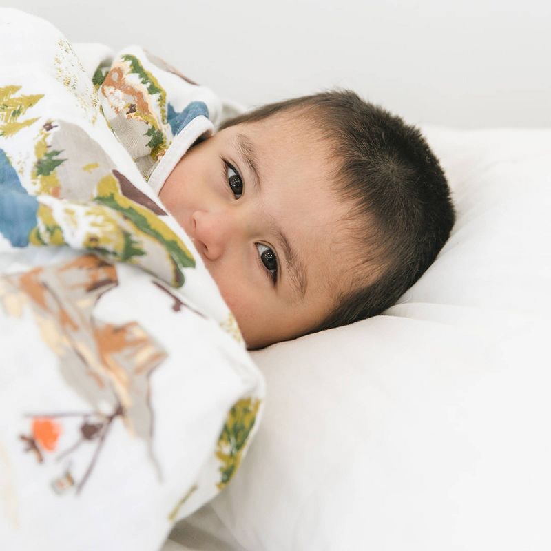 Bebe au Lait Muslin Snuggle Blanket Wyoming - Western Stripe