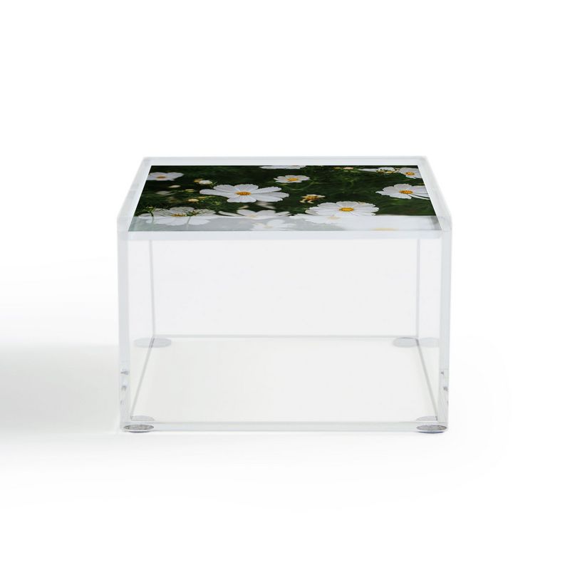 Hello Twiggs White Cosmos 4" x 4" Acrylic Box - Deny Designs