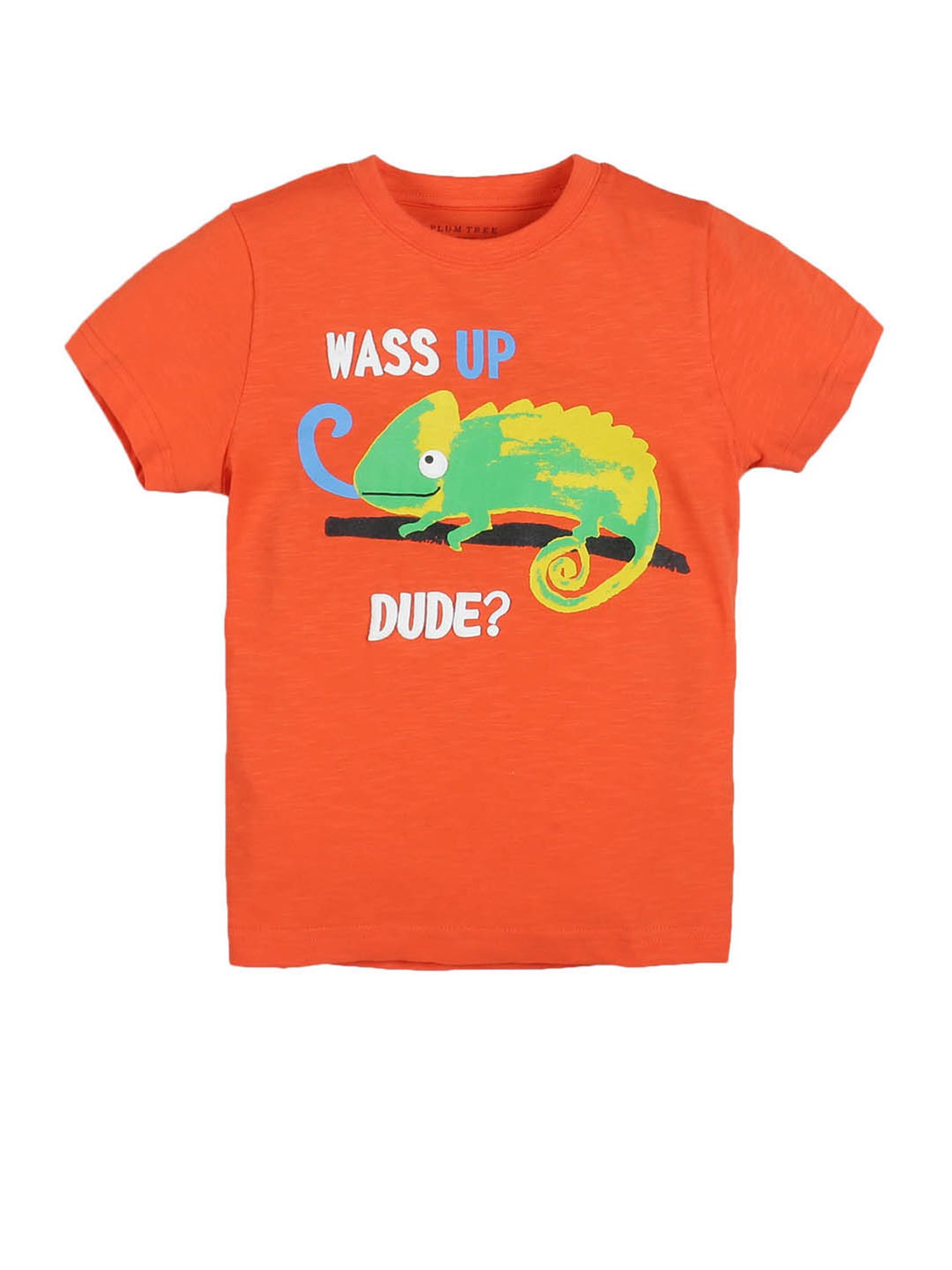 Plum Tree Kids Orange & White Printed T-Shirt (Pack Of 2)