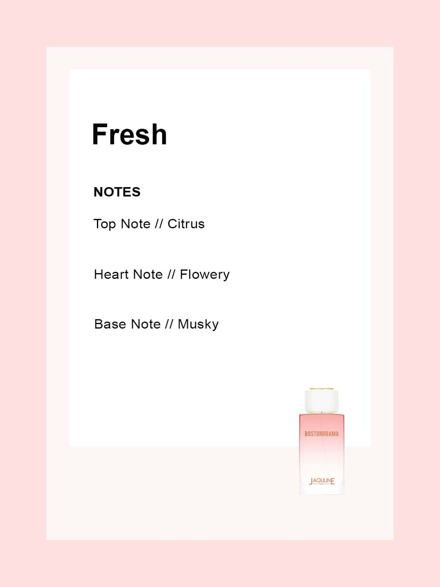 Jaquline USA Bostonorama EDP - 100 ml