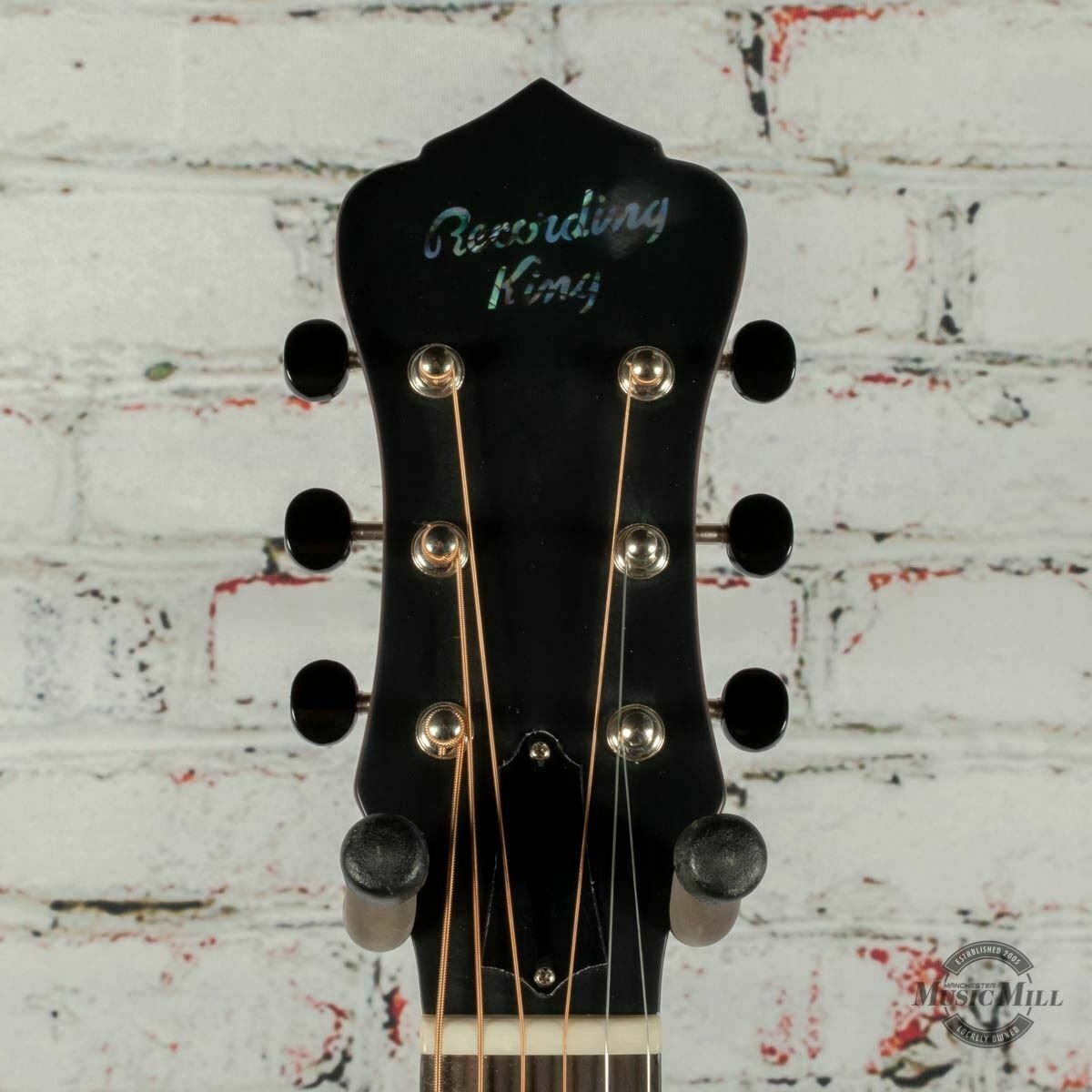 Recording King Swamp Dog Parlor Resonator Distressed Brass