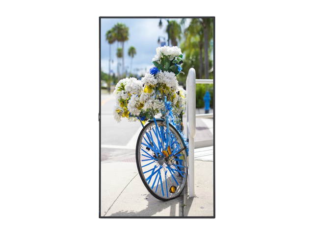 NEC C431 43"-Class Full HD Commercial LED Display, Black