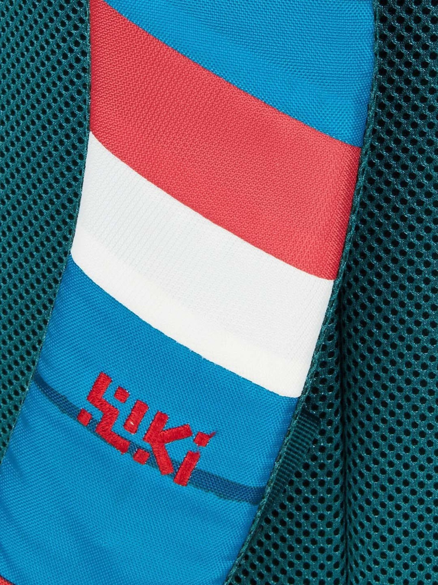 Wiki 40 Ltrs Blue Medium Backpack