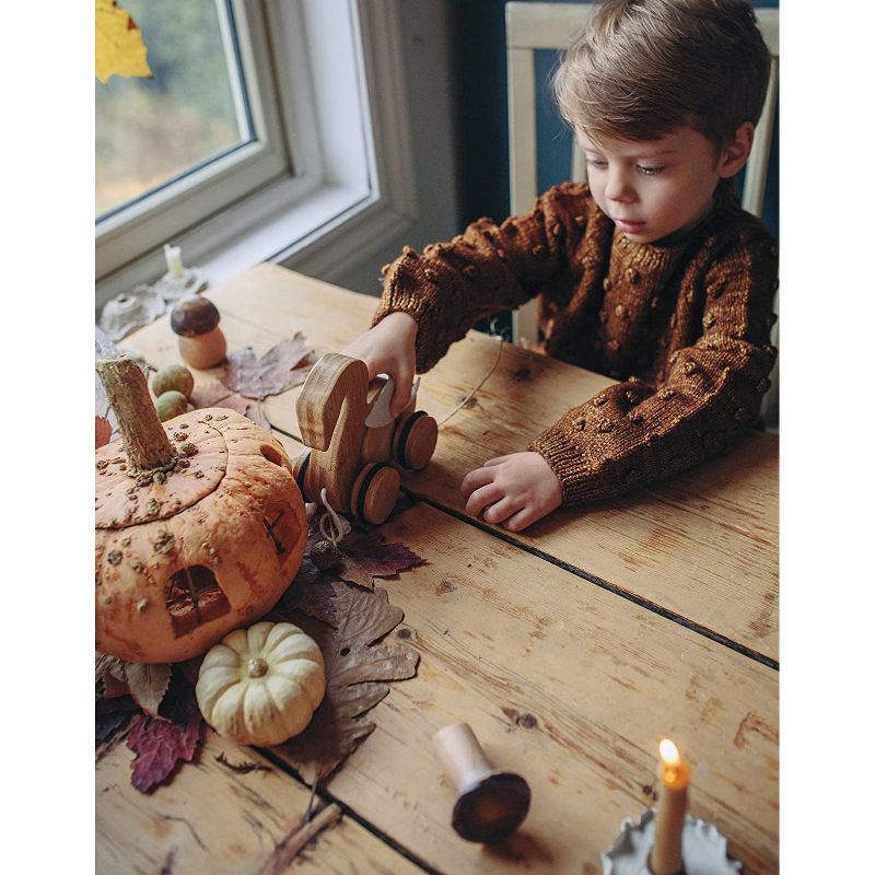 Kinderfeets Kids Rolling Bamboo Push and Pull Animal Toy for Toddlers and Children with Pull String, Swan