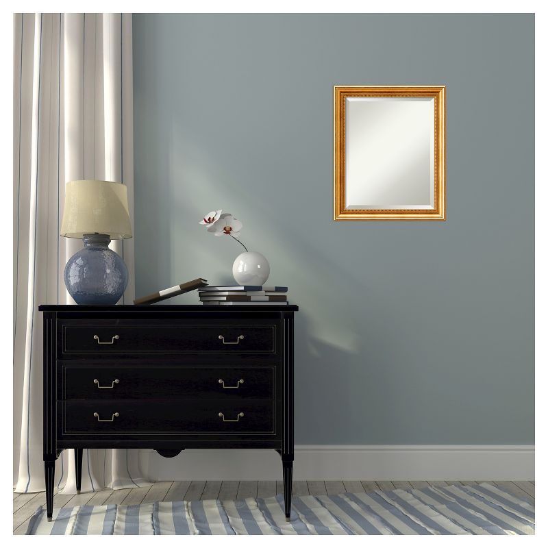 20" x 24" Townhouse Wood Framed Wall Mirror Gold - Amanti Art