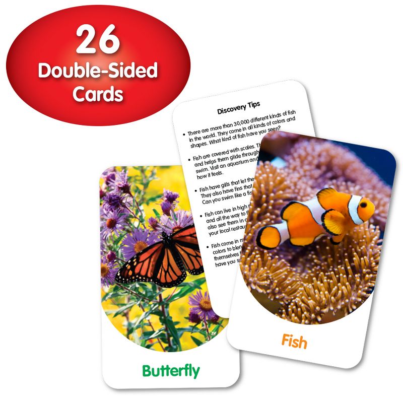 The Learning Journey Discovery Cards Out & About 26 Double-Sided Cards