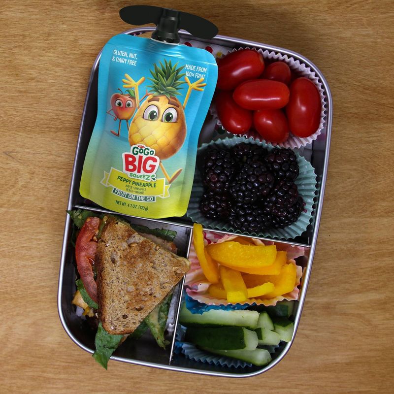 GoGo SqueeZ Big Variety Pack Apple Mango Banana Passfruit Pineapple Peach - 42.3oz/10ct